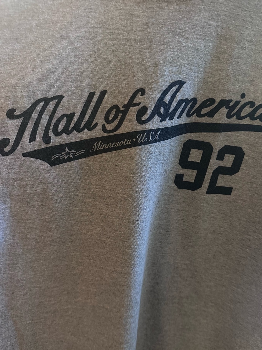 Mall of America Gray Graphic Tee with Navy Print